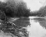 Trinity River survey