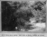 Trinity River survey