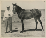 Cowboy and Horse Photograph