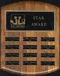 UTA Libraries Star Award Plaque, 1993-2003