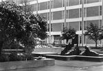 Snow at UTA Central Library