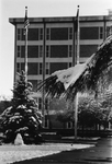 Snow at UTA Central Library