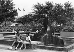 University of Texas at Arlington campus