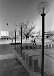 Lamp posts on UTA's Library mall looking west toward Texas Hall