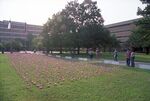 University of Texas at Arlington 9/11 Memorial