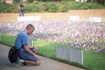 University of Texas at Arlington 9/11 Memorial