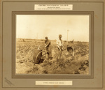 Students spraying Irish potatoes by Bryant Studio