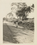 Photo of an unidentified woman on a road