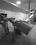 Carling Brewery worker with burlap bag on lifting mechanism