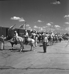 Parade at All State Shriners meeting in Dallas by W. D. Smith