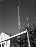 Utility pole by W. D. Smith