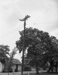 Utility pole by W. D. Smith