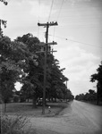 Utility pole by W. D. Smith