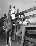 Young woman standing next to a horse by W. D. Smith