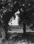 View of Fort Worth's North Side High School by W. D. Smith