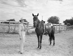 Mrs. Collier with horse by W. D. Smith