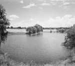 Pond at Glen Garden Golf Course by W. D. Smith