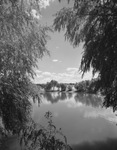 Pond at Glen Garden Golf Course by W. D. Smith