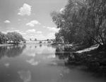 Pond at Glen Garden Golf Course by W. D. Smith