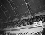 Texas Electric Service Company employees at the Polack Brothers Circus by W. D. Smith