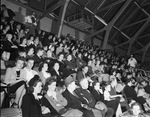 Texas Electric Service Company employees at the Polack Brothers Circus by W. D. Smith