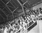 Texas Electric Service Company employees at the Polack Brothers Circus by W. D. Smith