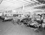 Interior of warehouse with aisles of stock by W. D. Smith