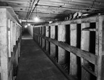 Interior of warehouse with aisles of stock by W. D. Smith