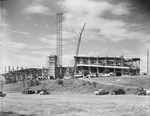 Texas Christian University (TCU) Stadium by W. D. Smith