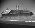 Texas Christian University (TCU) Stadium by W. D. Smith