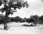 Golf Course at Ridglea Country Club by W. D. Smith