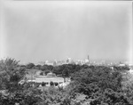 Skyline of Dallas,Texas by W. D. Smith