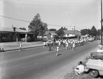 Arlington Day Parade by W. D. Smith