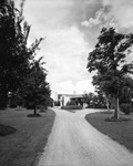 Tree lined road leading to house by W. D. Smith