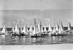 Sailboats by W. D. Smith