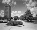 Medical Arts Building by W. D. Smith