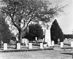 Man in cemetery by W. D. Smith