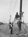 Man climbing down telephone pole with kite by W. D. Smith