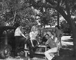 Picnic at Stephenville, Texas by W. D. Smith