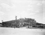 Everybody's (Leonards) Department Store Properties by W. D. Smith