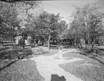 Building at Eagle Mountain Lake by W. D. Smith