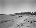 Beach at Eagle Mountain Lake by W. D. Smith