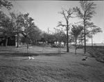 Cabins at Eagle Mountain Lake by W. D. Smith