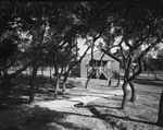 Cabins at Eagle Mountain Lake by W. D. Smith