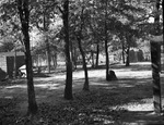 Cabins at Eagle Mountain Lake by W. D. Smith