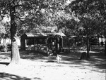 Cabins at Eagle Mountain Lake by W. D. Smith