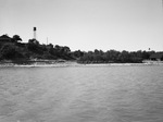 Shoreline at Eagle Mountain Lake by W. D. Smith