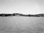 Shoreline at Eagle Mountain Lake by W. D. Smith