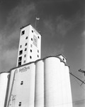 Universal Mills silos by W. D. Smith