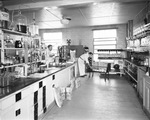 Men working in chemical lab by W. D. Smith